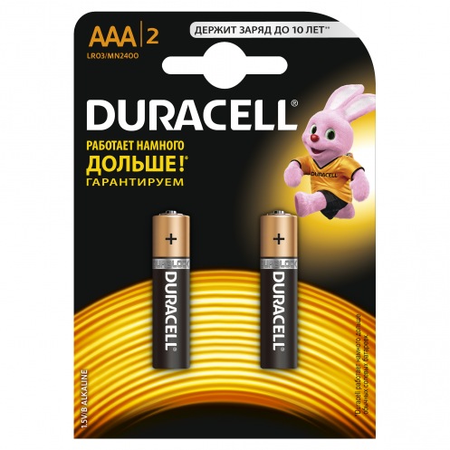 Батарейки DURACELL AAA MN2400 (2шт) Батарейки DURACELL AAA MN2400 (2шт)