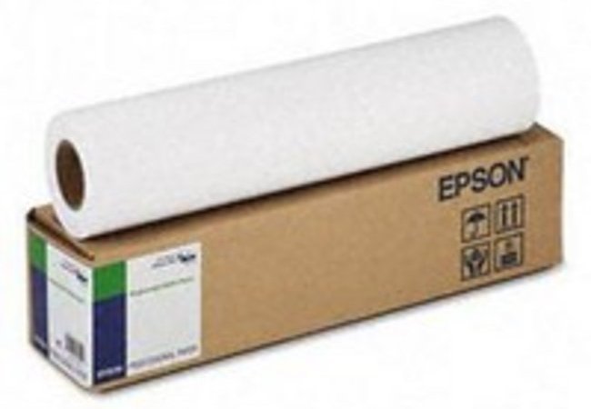 Бумага Epson Enhanced Matte Paper 24"x30.5m (C13S041595) в Києві