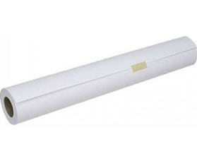 Бумага EPSON Bond Paper White (80) 42x50m (C13S045276) в Киеве