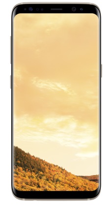 Смартфон SAMSUNG Galaxy S8 64GB Gold (SM-G950FZDD) в Киеве
