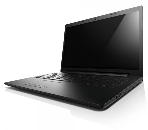 Ноутбук Lenovo IdeaPad S510P (59-392187) в Києві