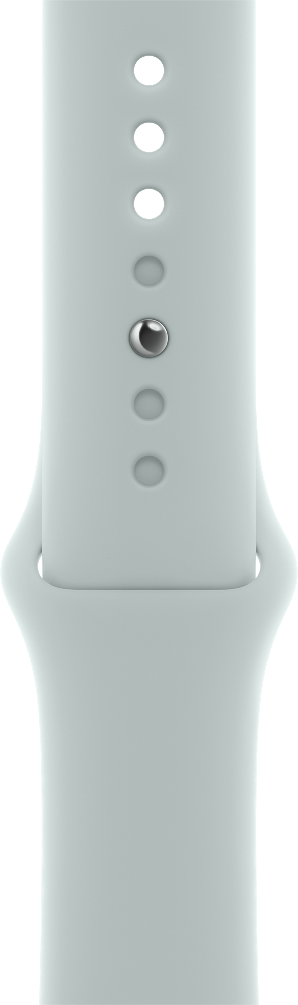 Ремінець APPLE Sport Band для Apple Watch 41mm Regular Succulent (MP723ZM/A) в Києві