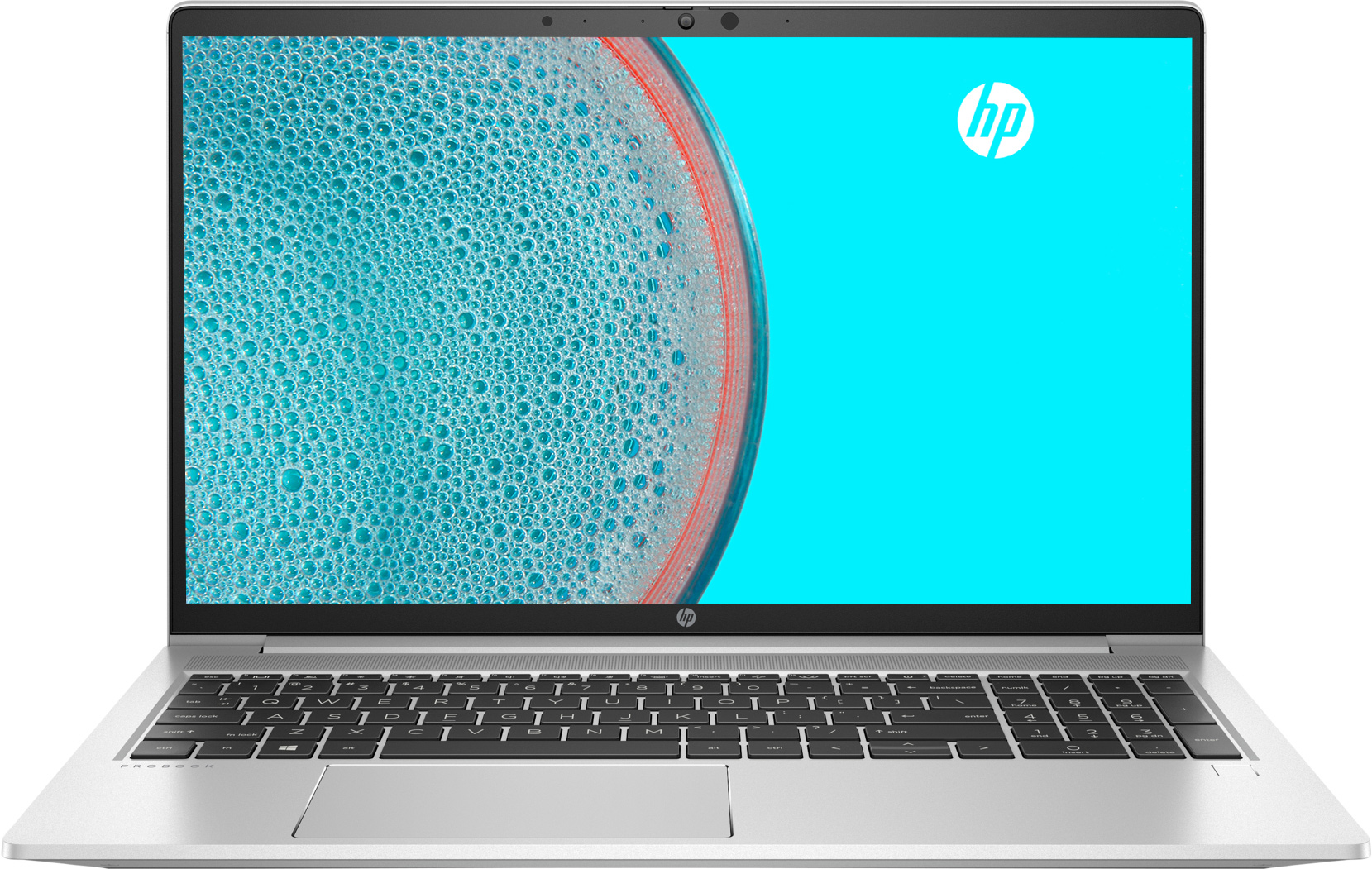 Ноутбук HP ProBook 650 G8 Pike Silver (2Q122AV_V1) в Києві