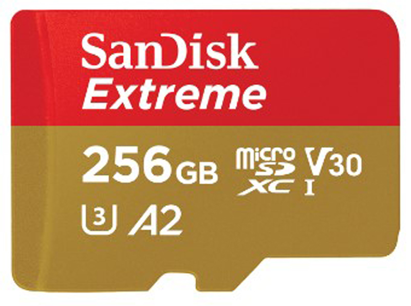 Карта памяти SANDISK Extreme 256GB microSDXC UHS-I (SDSQXAV-256G-GN6MN) в Киеве