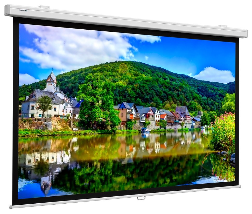 Экран Projecta ProScreen 139x240 HC (10200305) в Киеве