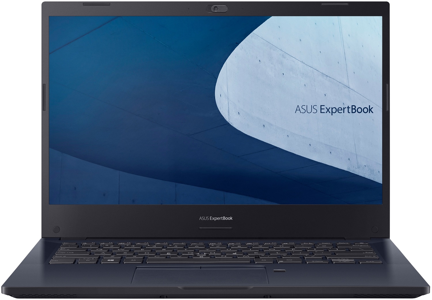 Ноутбук ASUS ExpertBook P2 P2451FA-EK2317 Star Black (90NX02N1-M31780) в Киеве