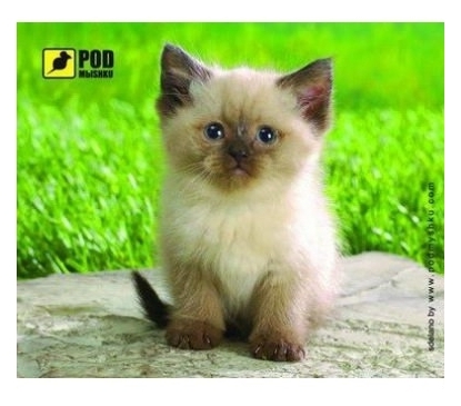 

Коврик Pod Mishkou Сиамский котик