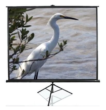 

Экран Elite Screens T84UWV1
