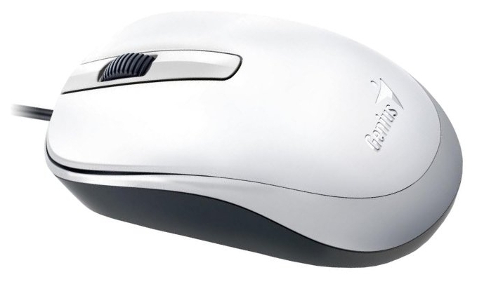 

Мышь Genius DX-120 USB White (31010105102)