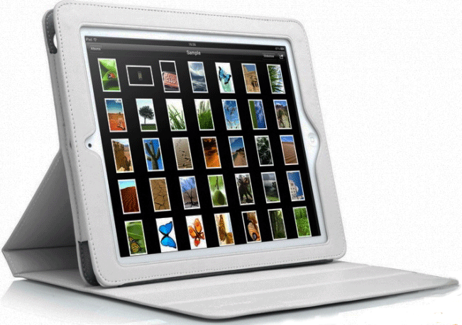 

Чехол для Apple iPAD2 CAPDASE White