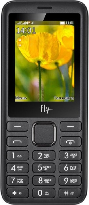 Мобильный телефон Fly FF249 Black в Киеве