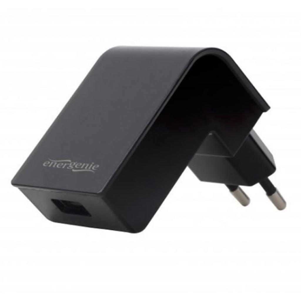 

Мережевий зарядний пристрій EnerGenie 2.1A Black (EG-UC2A-02)