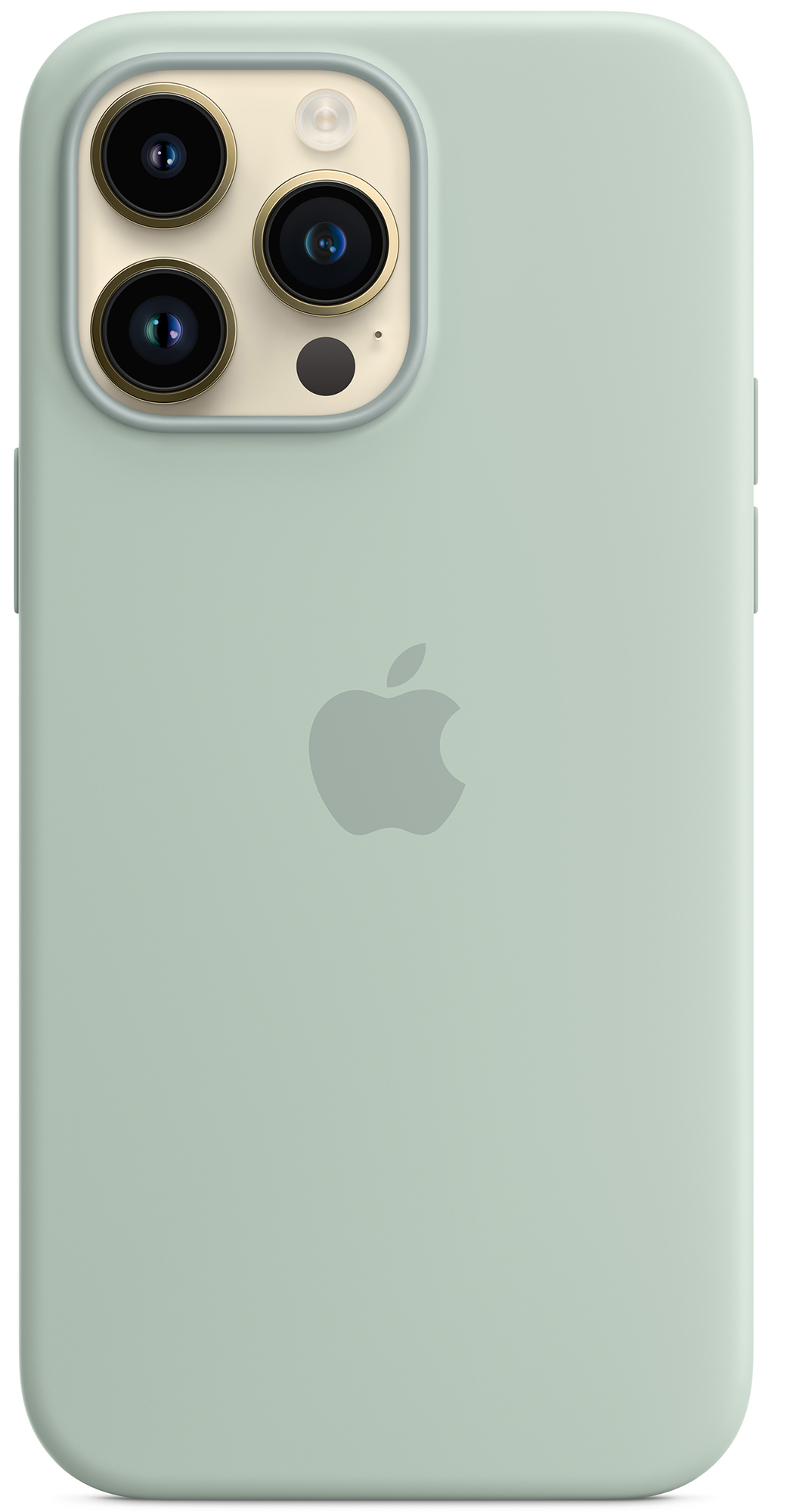 Накладка APPLE iPhone 14 Pro Max Silicone Case with MagSafe Succulent (MPTY3ZM/A) · 3