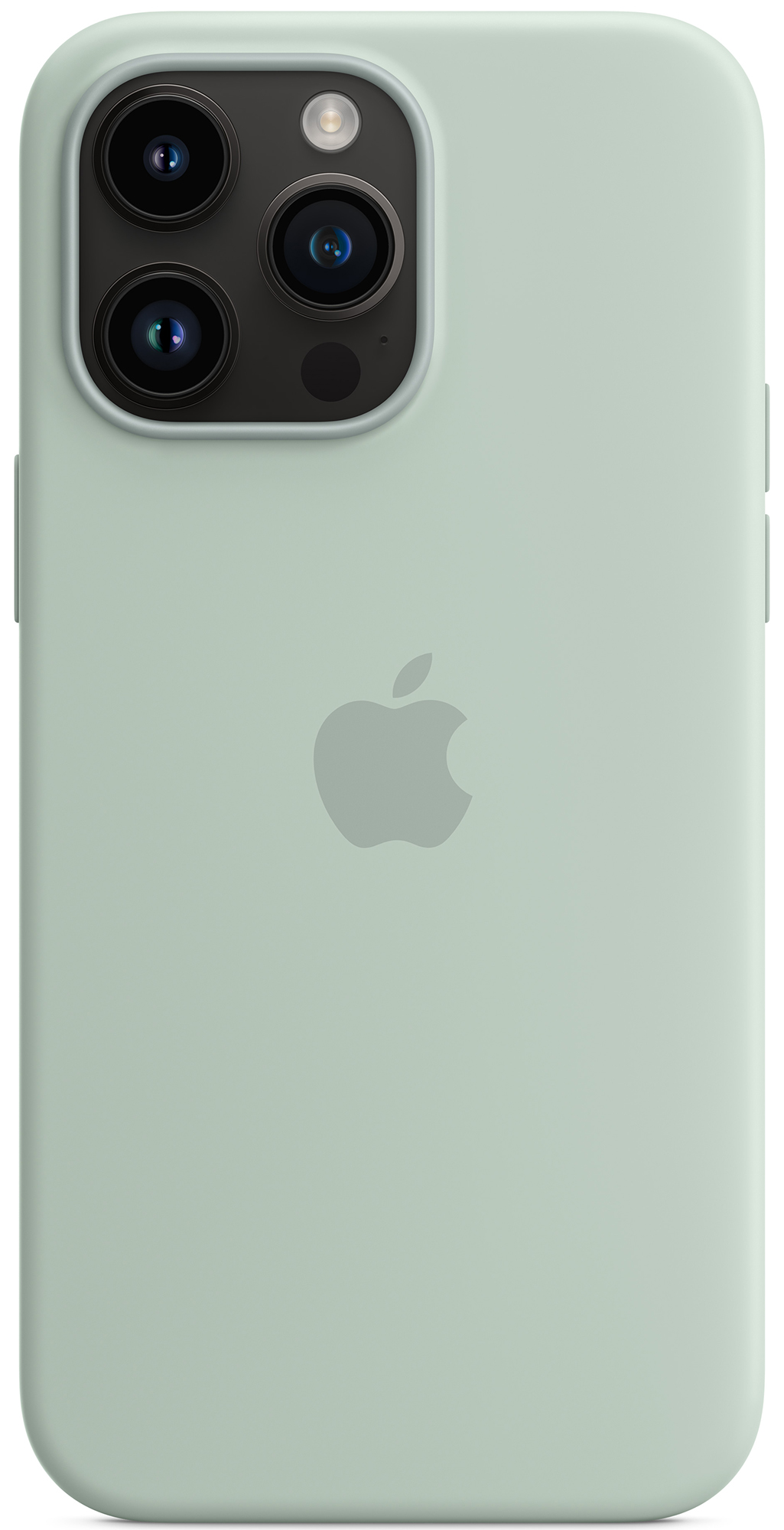 Накладка APPLE iPhone 14 Pro Max Silicone Case with MagSafe Succulent (MPTY3ZM/A) · 2