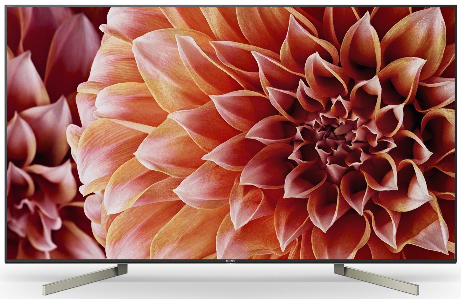 

Телевизор SONY KD65XF8596BR2