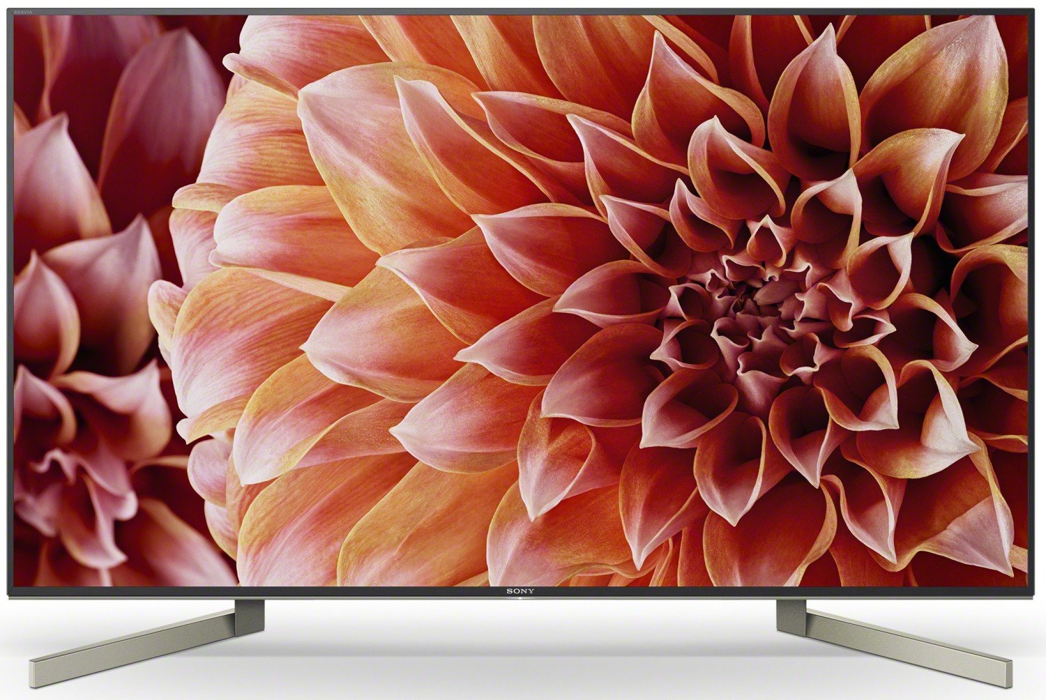 

Телевизор SONY KD55XF9005BR2