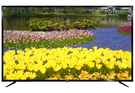 

Телевизор LIBERTY LD-2438