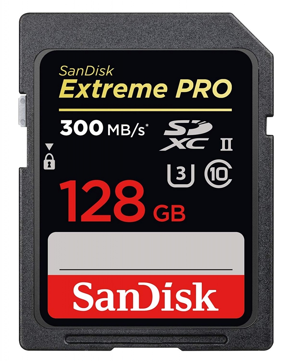 

Карта памяти SANDISK SDXC 128GB C10 UHS-II Extreme Pro (SDSDXPK-128G-GN4IN)