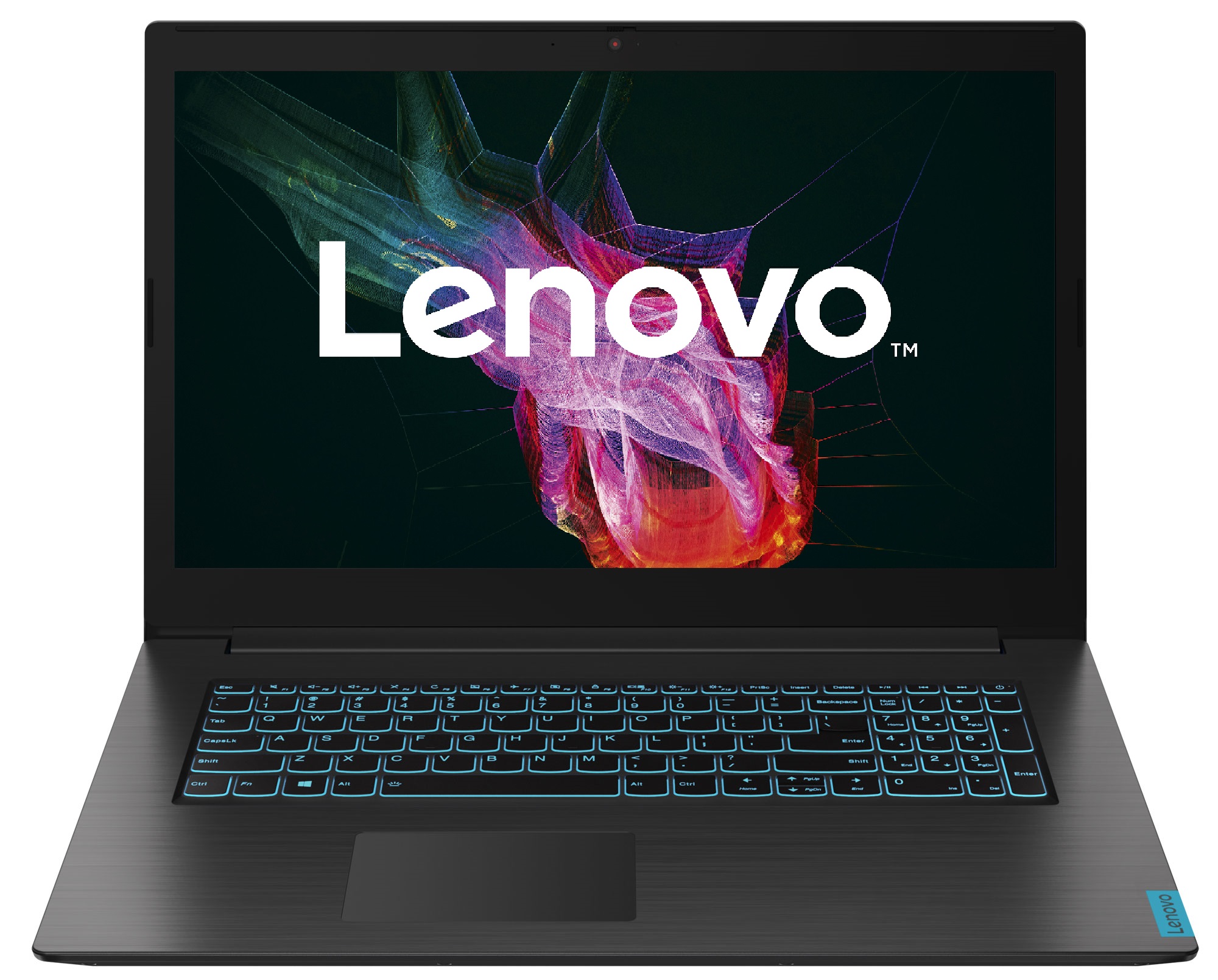 

Ноутбук LENOVO IdeaPad L340-17 Black (81LL005TRA)