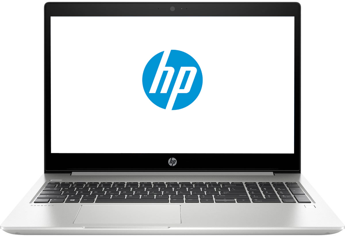

Ноутбук HP ProBook 455 G6 Silver (5XH26AV_V1)
