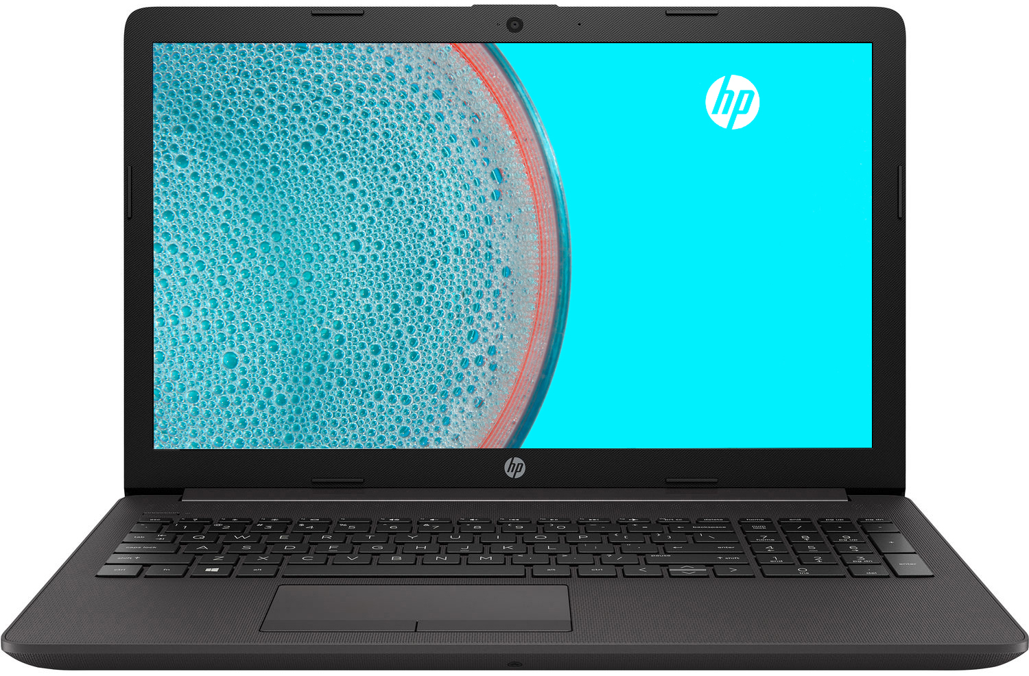 Ноутбук HP 255 G7 Dark Ash Silver (197U3EA) в Києві