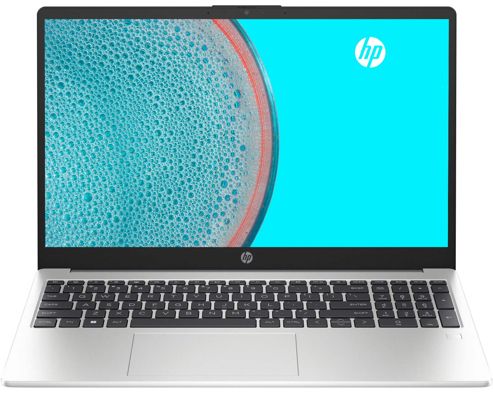 Ноутбук HP 255-G10 Silver (859P7EA) в Києві