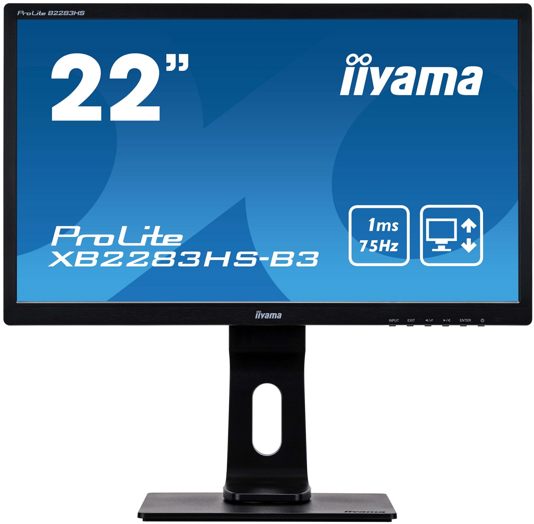 Монитор 21.5" IIYAMA ProLite XB2283HS-B3 в Киеве