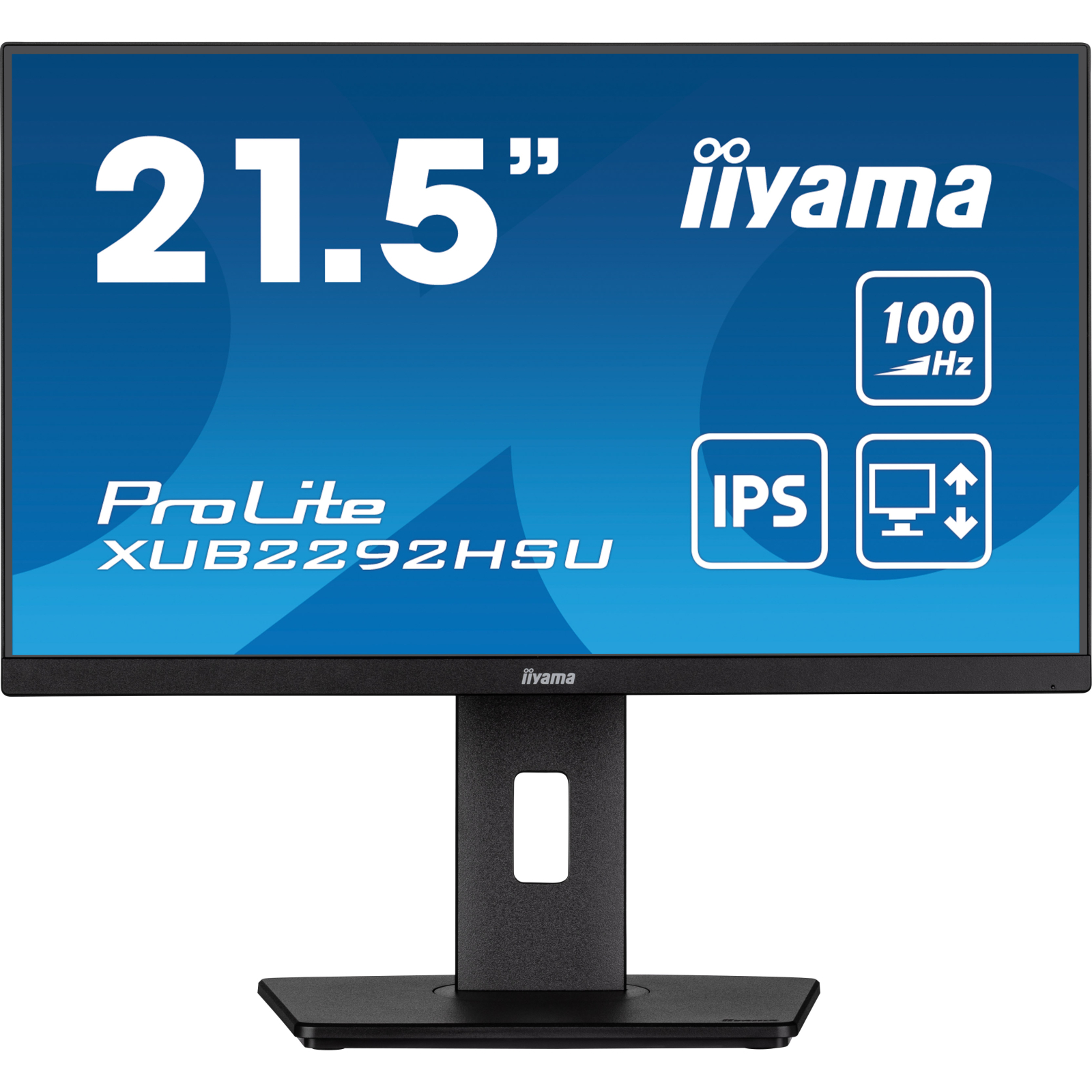 Монітор 21.5" IIYAMA XUB2292HSU-B6 в Києві