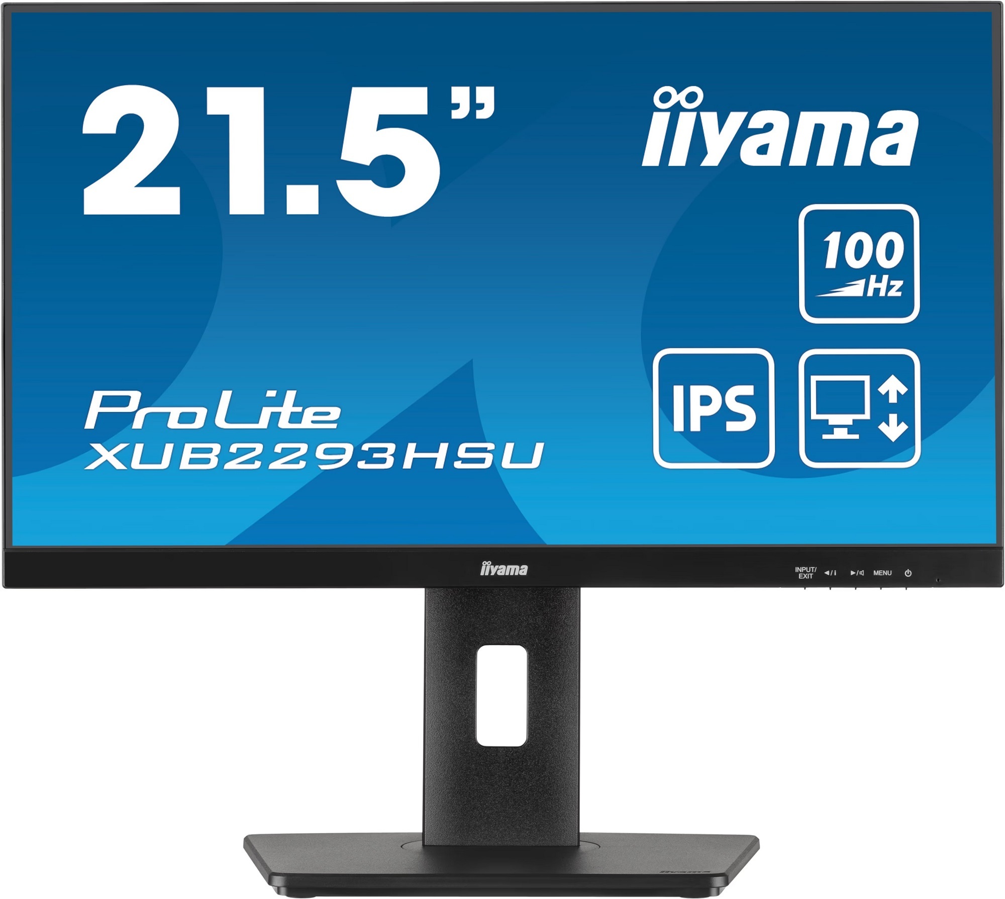 Монитор 21.5" IIYAMA XUB2293HSU-B6 в Киеве