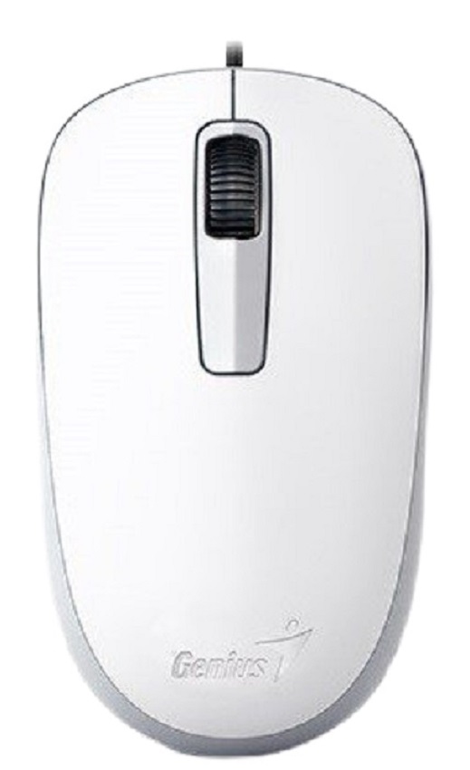 Миша GENIUS DX125 USB White (31010106102) в Києві