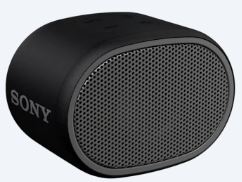 

Портативная акустика Sony SRS-XB01B Black (SRSXB01B.RU2)