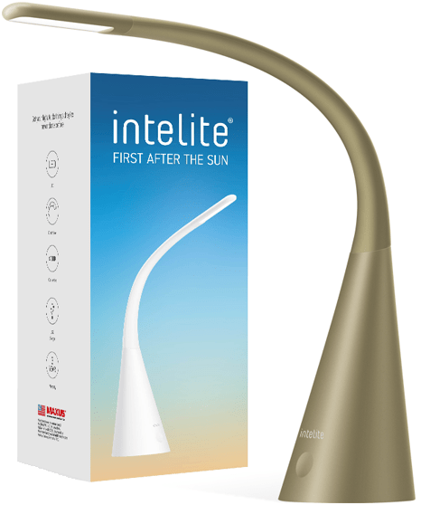 

Светильник Intelite Desk lamp DL4 bronze