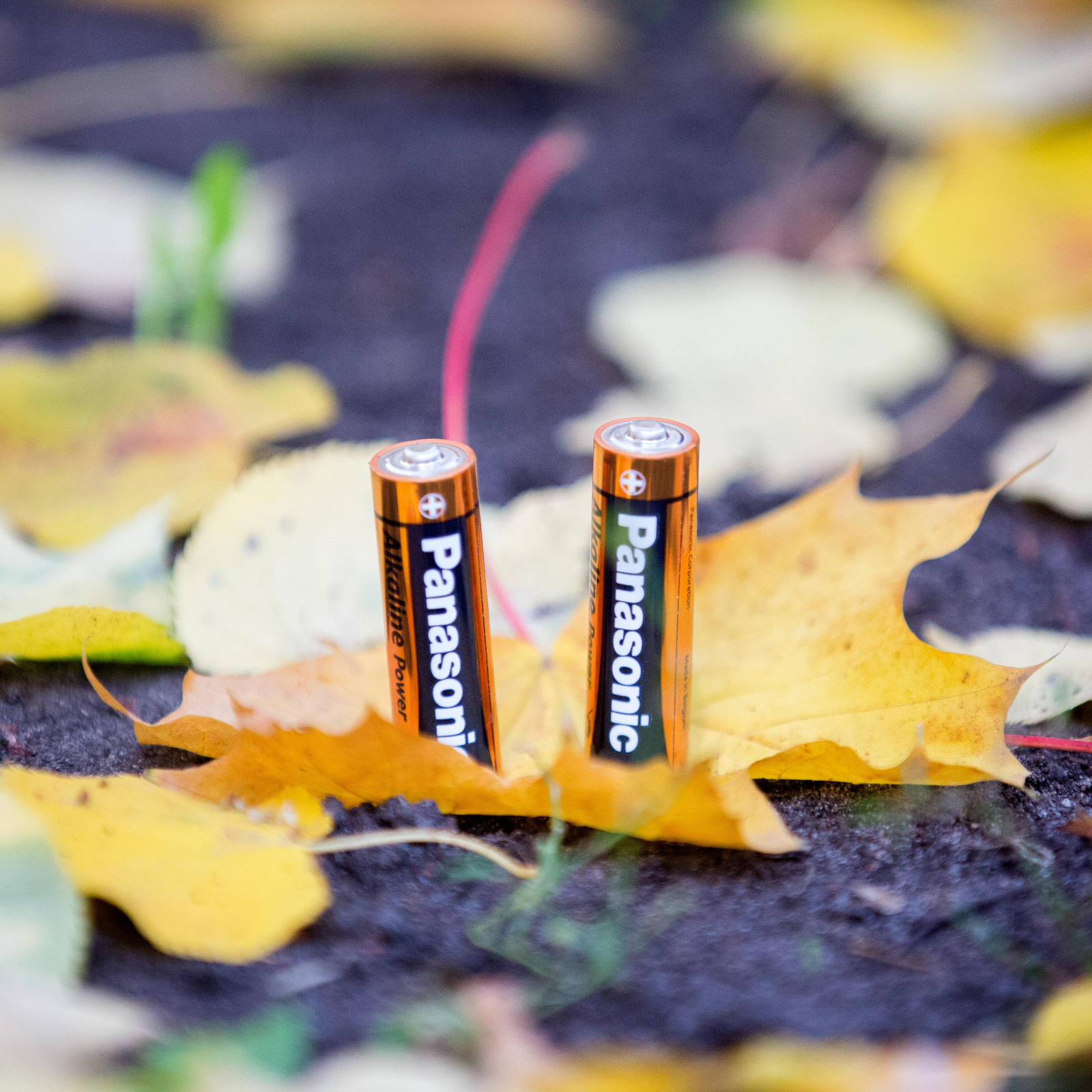 Батарейки PANASONIC AA Alkaline Power 2шт (LR6REB/2BP) · 3