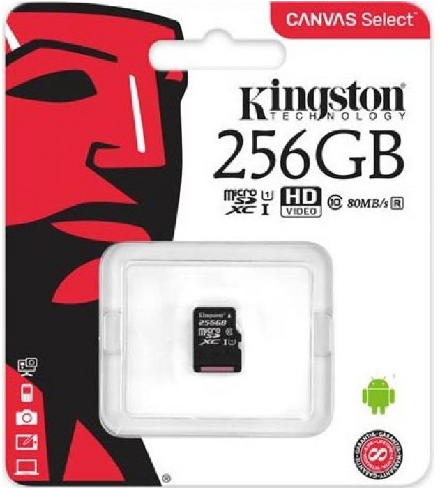 

Карта памяти Kingston 256GB microSDXC C10 UHS-I (SDCS/256GBSP)