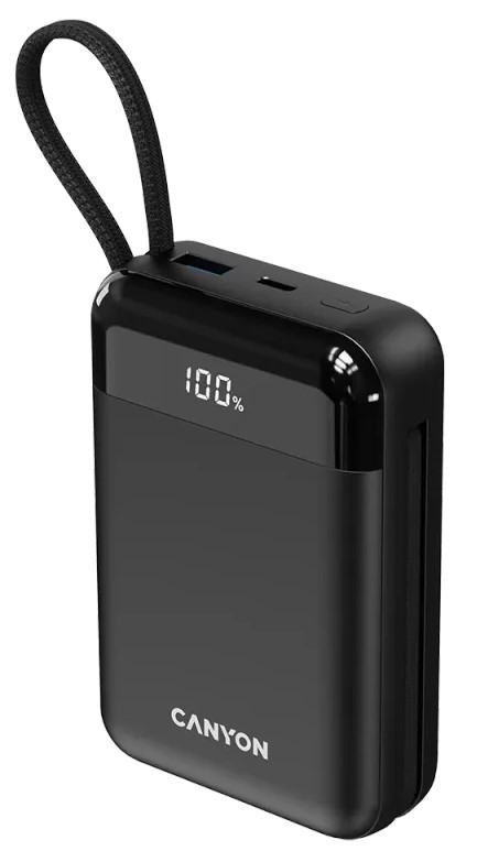 Батарея мобільна CANYON OnPower 204 20000 mAh Black (CNS-CPB204B)