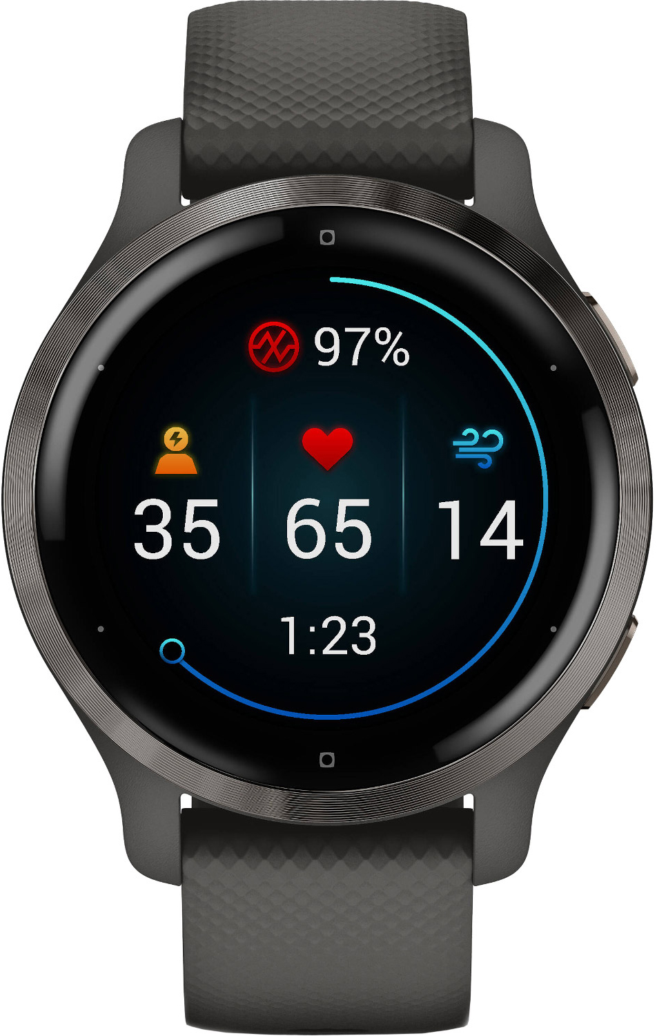 ᐉ Смарт-годинник GARMIN Venu 2S Slate Bezel + Graphite (010-02429-10 ...