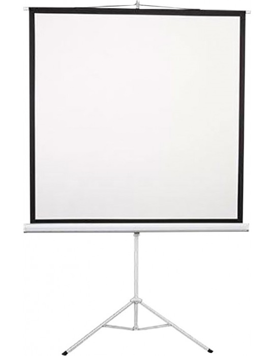 Екран 2E 1:1, 96", (1.72*1.72 м) 0001196T в Києві