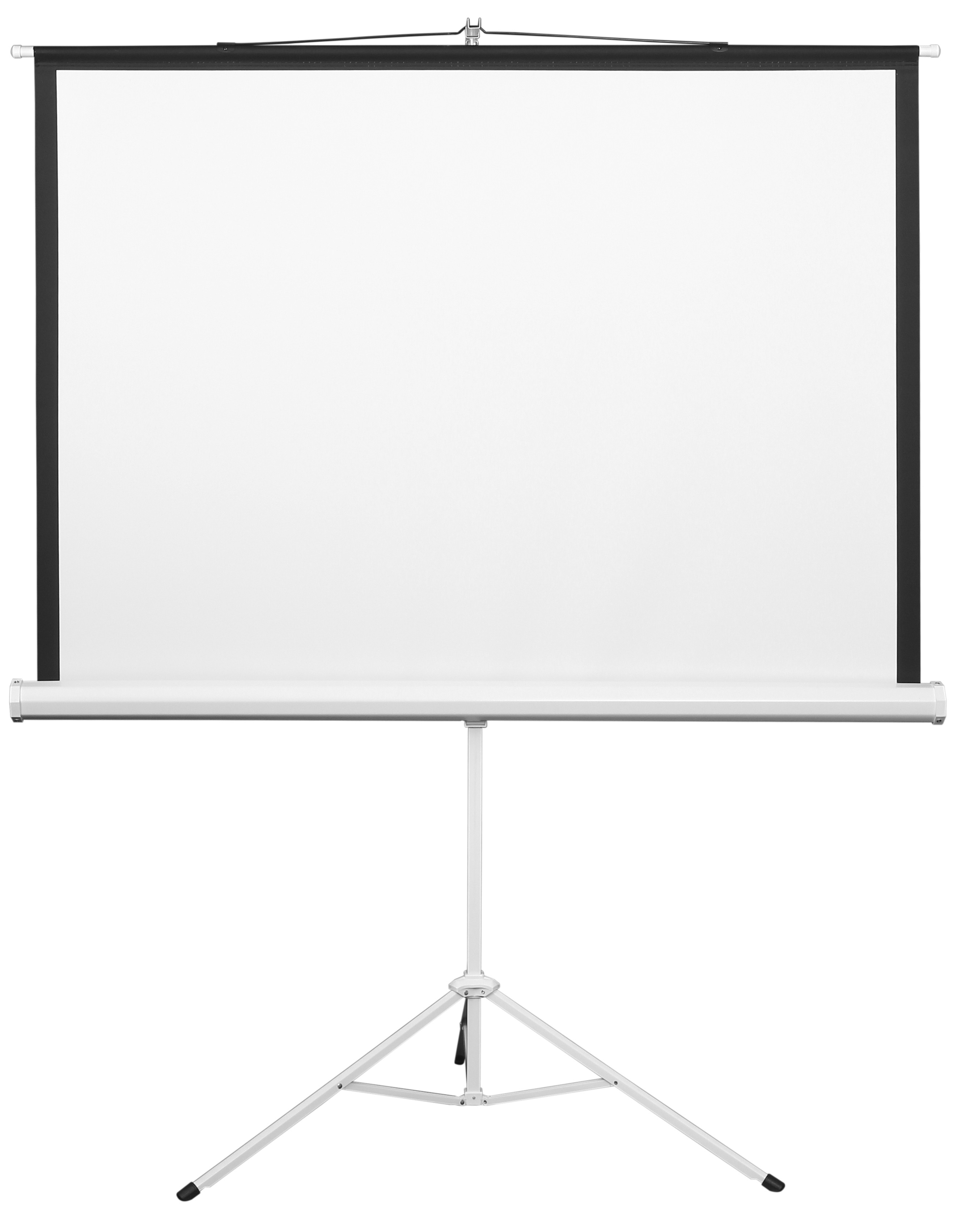Экран 2E 4:3, 86", (1.72*1.3 м) 0004386T в Киеве