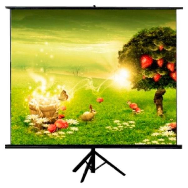 

Екран ATRIA 136"(1:1)244*244см TR-AV-96